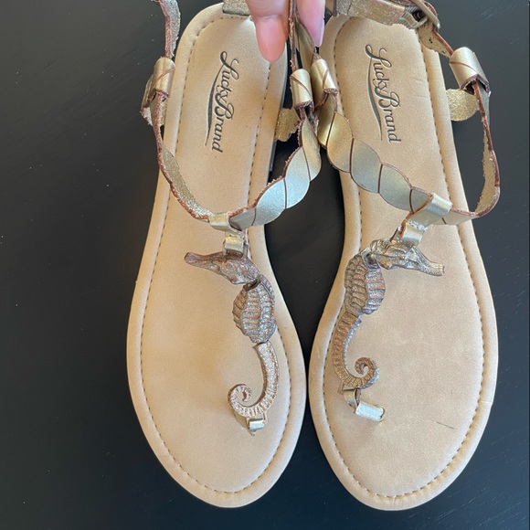 New Lucky Brand Seahorse Sandals - Picture 1 of 6